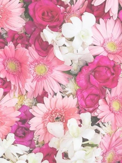 みる❤️1月26日入店